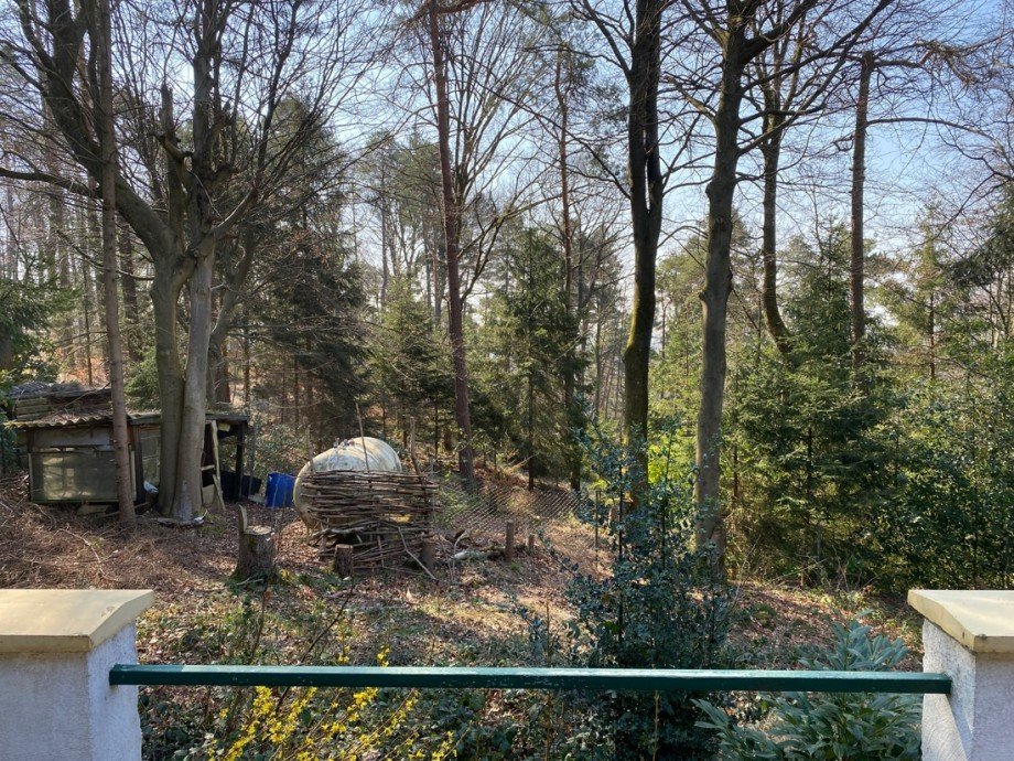 Blick von der Terrasse Einfamilienhaus Breitscheid