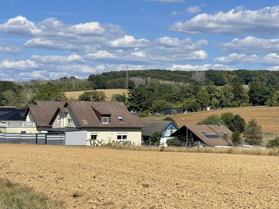 Blick von der Anh�he Einfamilienhaus Oberirsen
