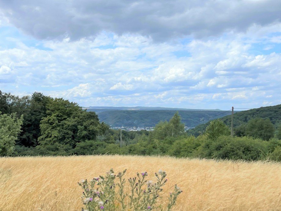 Blick Einfamilienhaus Linz am Rhein