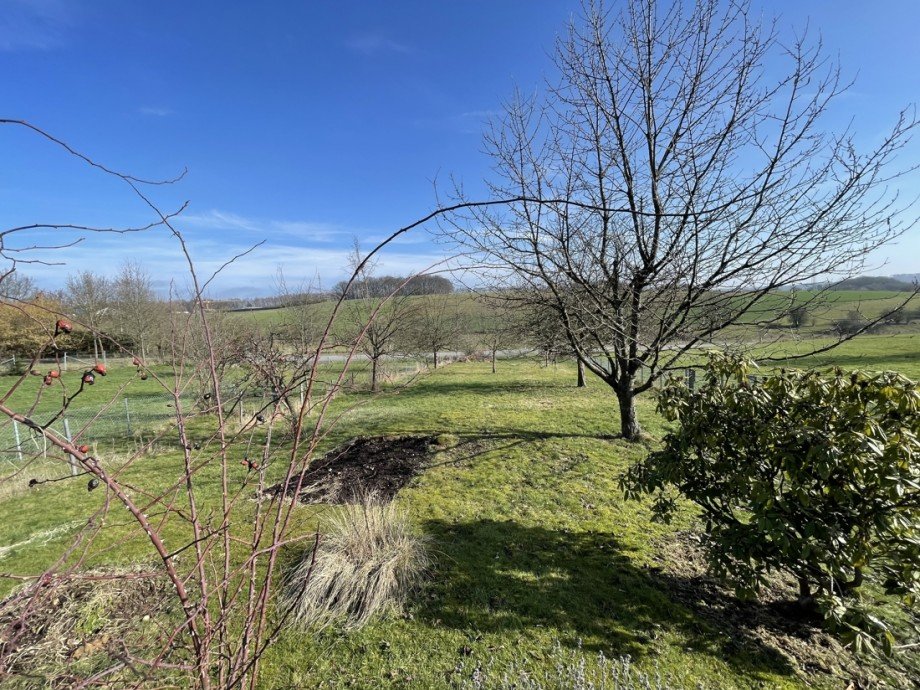 Natur pur! Einfamilienhaus Flammersfeld