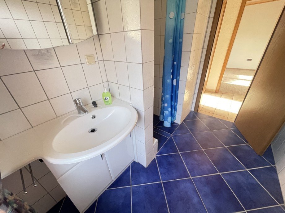 Duschbad EG Einfamilienhaus Niedersteinebach
