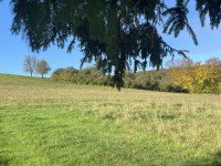 Bild (89242903a73e0af6f04e20f534737bf6): Idylle am Ortsrand - kleines Schmuckst�ck, gro�es Wohlgef�hl + Nebengeb�ude!