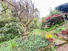  Haus verkaufen Neustadt (Wied) R�ckzugsort f�r Kreative.