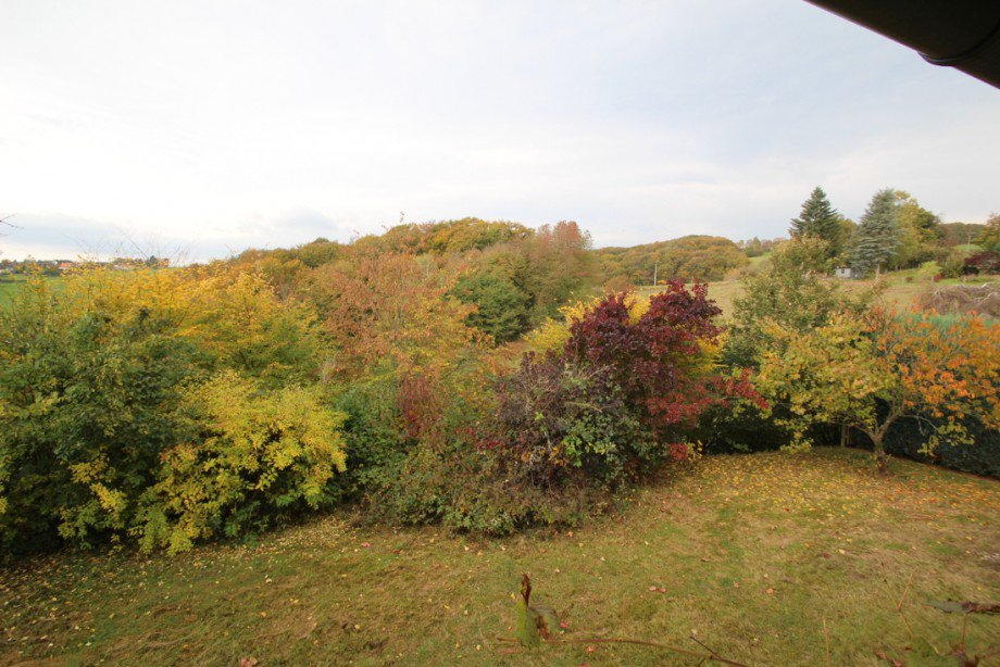 Aussicht von der Loggia Einfamilienhaus Breitscheid
