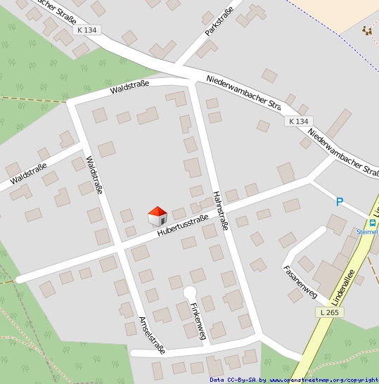 Lageplan Einfamilienhaus Steimel / Alberthofen