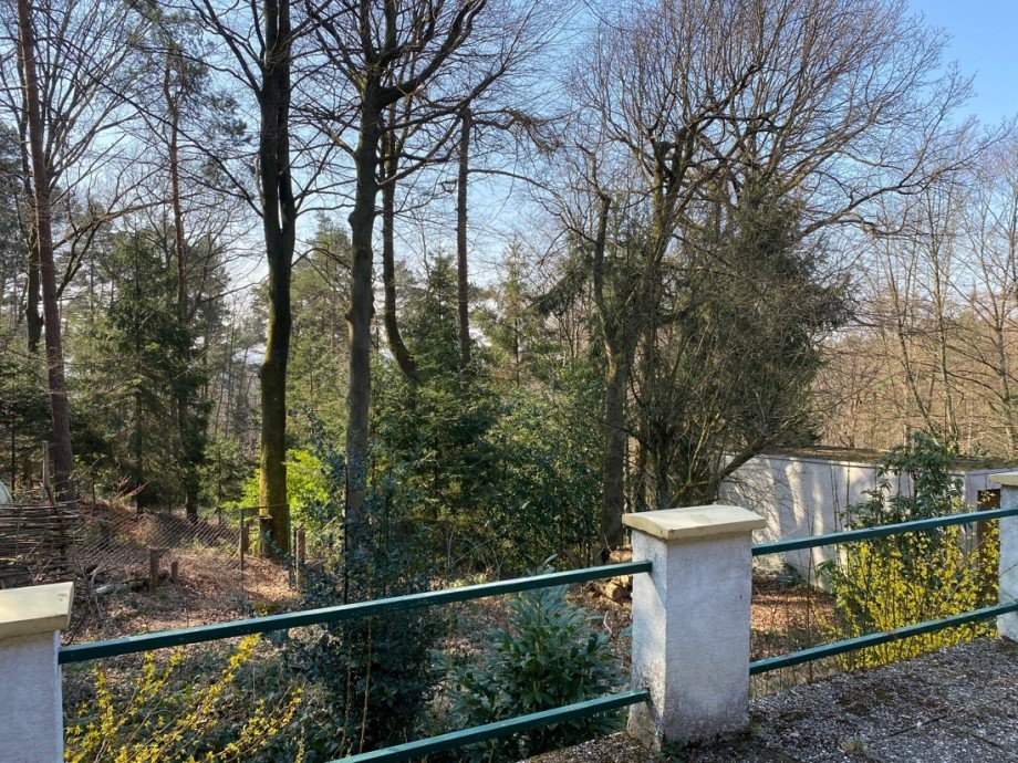  Einfamilienhaus Breitscheid